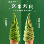 玄米到貨 · 經典再現！